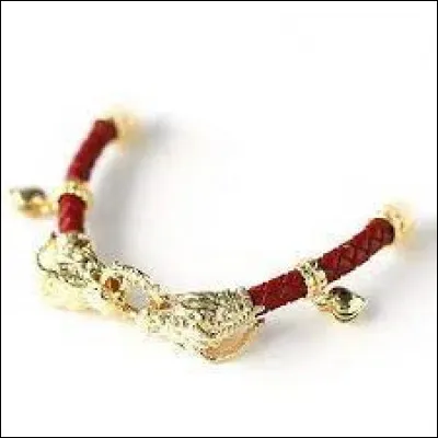 Que représente le bracelet perdu par le Roi lors de son combat avec Chien-Oiseau au début du drama ?