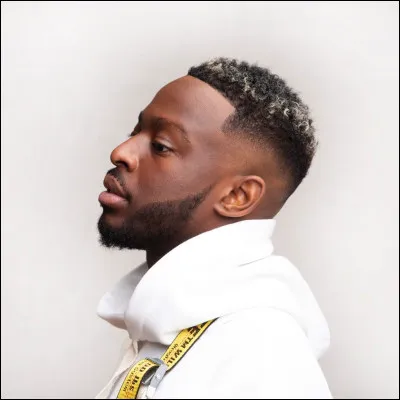 Parmi tous ces chanteurs, lequel a eu une influence sur Dadju ?