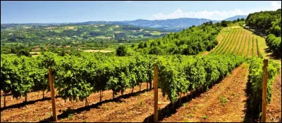 Le madiran est un vin ...