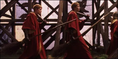 Quels sont les rôles des jumeaux Weasley dans leur équipe ?