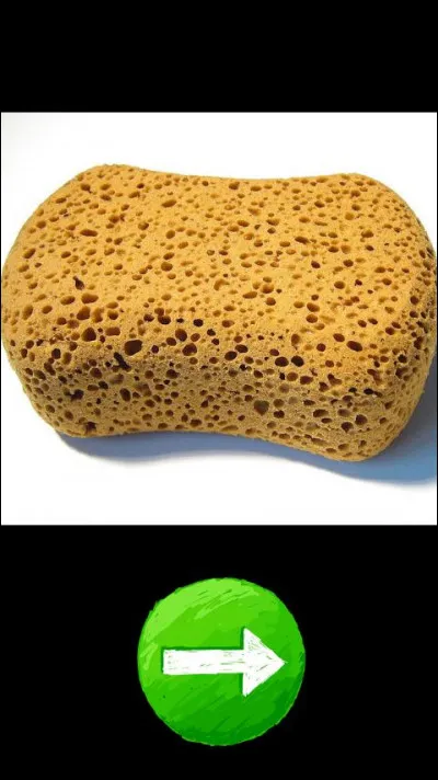 Ta grand-mère te demande de l'aider en cuisine, tu lui réponds que oui et elle te demande de laver la table avec l'éponge, tu :