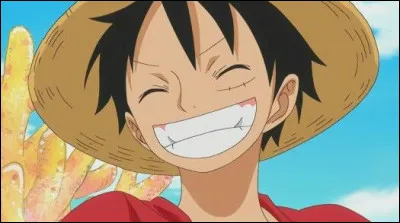 Quel est le trésor de Luffy ?