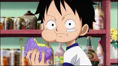 Quel fruit du démon Luffy mange-t-il ?
