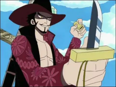 Quel est l'adversaire principal de Zoro ?