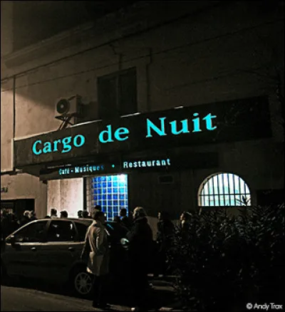 Qui chante "Cargo de nuit" ?