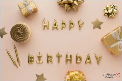 Bon, &agrave; 13h45, il est temps de rentrer, tes invit&eacute;s doivent venir pour 14h10. Mais quand vous rentrez, pleins de petites t&ecirc;tes se mettent &agrave; surgir, toutes pleines de confettis et de chapeaux. Il y a tout le monde, de tes cousins et cousines jusqu'aux amis des amis, en passant par un peu de famille, beaucoup d'amis et des voisins ! Tu ne sais pas comment r&eacute;agir... Que fais-tu ?