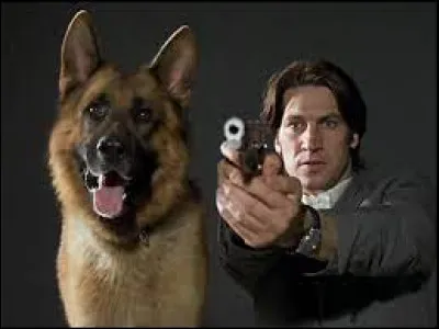 Quelle est la race de Rex, le chien flic ?