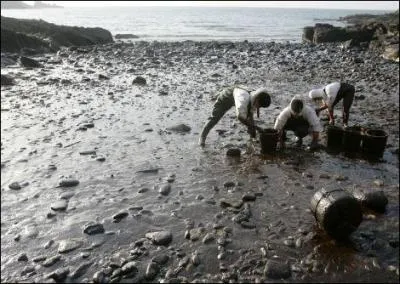 Comment appelle-t-on ce type de catastrophe naturelle ?