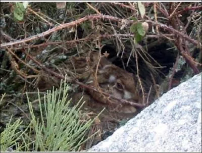 Le gte est la maison :
