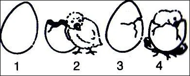 Quel est le bon ordre ?