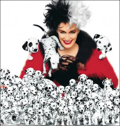 Combien y a-t-il de dalmatiens ?