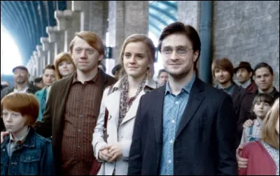 Plus tard vous aimeriez plutôt être...