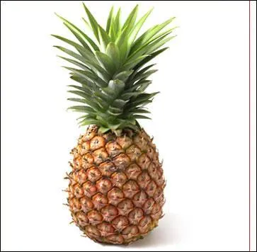 Traduire ananas en espagnol :