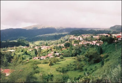 Quelle est cette couleur au premier plan ? Le...