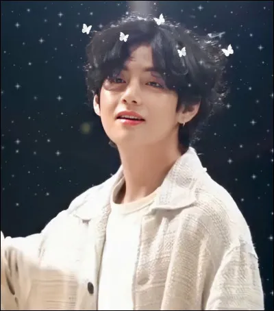 Quelle est la saison préférée de V ?