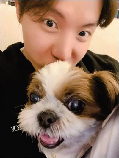 Comment s'appelle le chien de J-hope ?