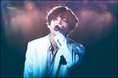 Quel est le vrai nom de V ?