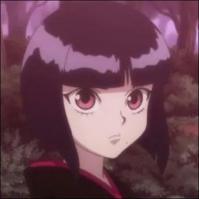 Qui a-t-il remplacé ?