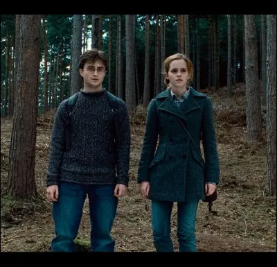 À quel film appartient cette image ?