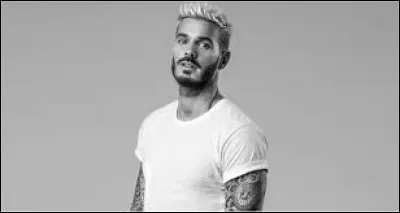 Qui est ce chanteur français ?