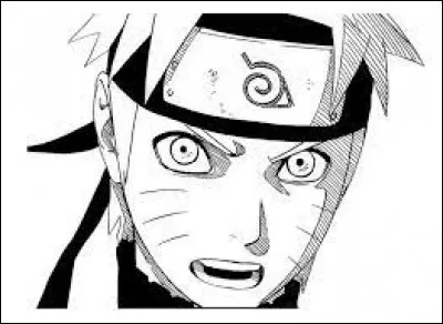 Qu'est-ce que "Naruto" ?