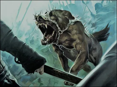 Ce fidèle molosse sauva la vie de son maître le général Alexandre le Grand. Qui est-il ?