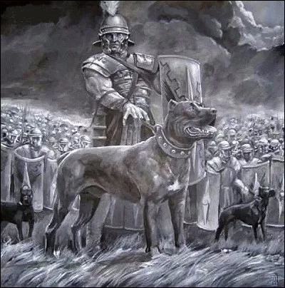 Quelle race de puissants chiens de combat utilisaient les Romains sur les champs de bataille ?