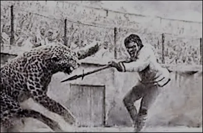 Quels sont ses combats de gladiateurs uniquement contre des animaux sauvages ?