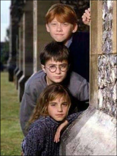 Dans le tome 1 : À la fin, quel est l'ordre que Harry, Ron et Hermione ont dû parcourir ?