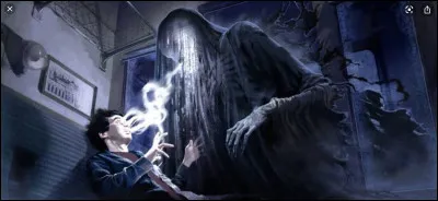 Dans le tome 3 : Pourquoi Harry s'est-il évanoui avec les détraqueurs et pas les autres élèves ?