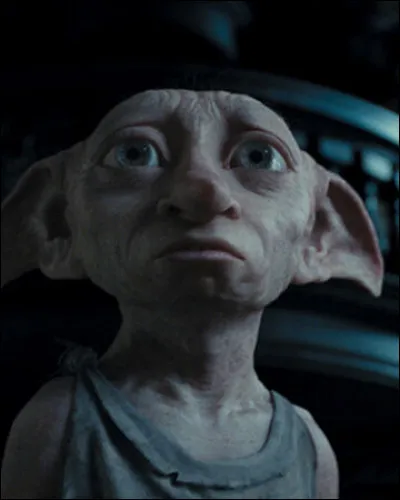 Comment Dobby meurt-il ?