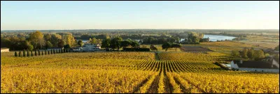 Le fronsac est un vin ...