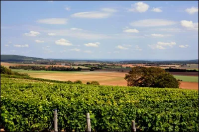 Un pouilly-fumé est un vin ...