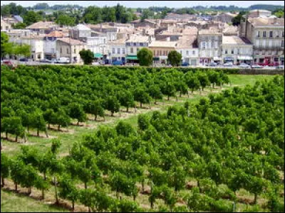 Le côtes-de-blaye est un vin ...