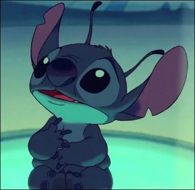 Où Lilo voit-elle Stitch pour la première fois ?