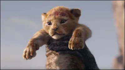 Qui sont Shenzi et Banzaï, dans "Le Roi Lion" ?