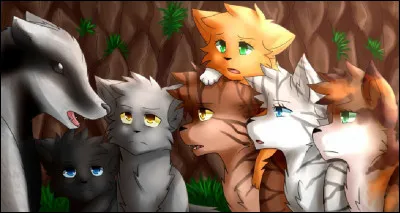 Qui sont les Élus qui doivent rencontrer Minuit ?