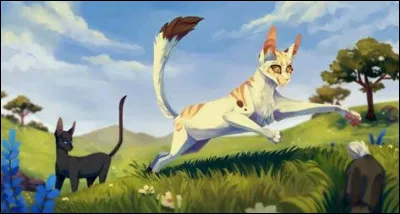 Dans le Clan du Ciel, des guerriers viennent le jour puis repartent le soir. Comment sont-ils appelés ?