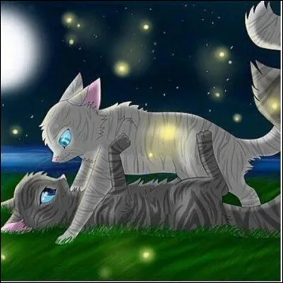 Quel couple n'existe pas ?