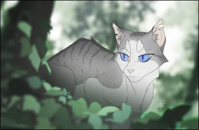 Dans quel tome voit-on pour la première fois Feuille de Lis ?