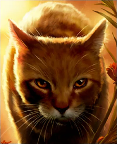 Qui accompagne Nuage d'Aulne dans sa quête ?