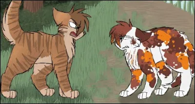 Que se passe-t-il sur cette image ?