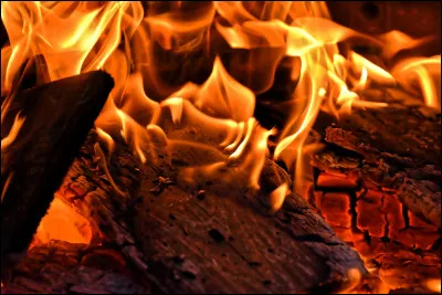 Fagot de b&ucirc;chettes servant d'allume-feu :