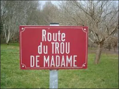 Si vous &ecirc;tes nouveau sur Quizz.biz, mais que vous vous faites conna&icirc;tre en cr&eacute;ant souvent des quiz, et en participant aux forums...