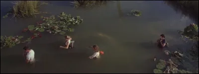 Dans cette sc&egrave;ne du film "Anacondas : &Agrave; la poursuite de l'orchid&eacute;e de sang", quel animal est dans l'eau ?