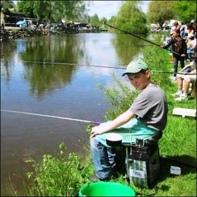 Dans quelle s&eacute;rie t&eacute;l&eacute;vis&eacute;e humoristique en format court peut-on entendre la phrase "C�est pas parce que vous faites des tartes pour des petits-enfants qui existent pas que je dois les emmener &agrave; la p&ecirc;che" ?