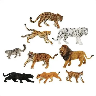 Quel f&eacute;lin est &eacute;galement appel&eacute; panth&egrave;re ?