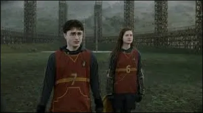 Quels sont les noms entiers de Harry et Ginny (avant leur mariage) ?