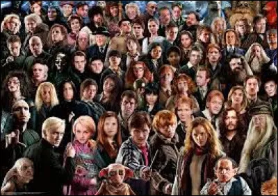 Quels sont les 2 personnages préférés dans la saga Harry Potter pour les Français ?