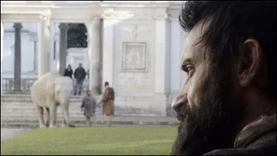 Quel est le réalisateur de "Michel-Ange", film sorti en 2019 ?